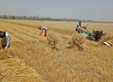 kisan