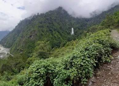 jharana