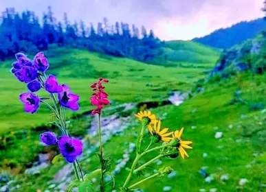 khaptad