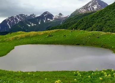 surmeli