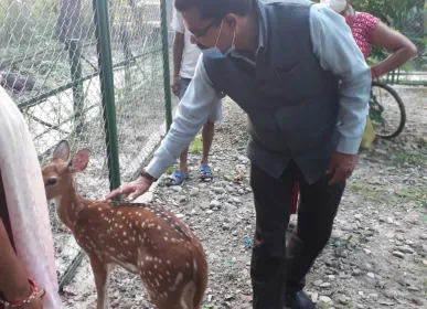 zoo