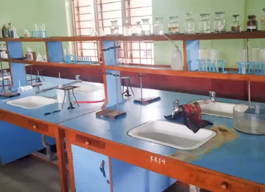 lab