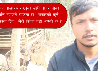 bakra