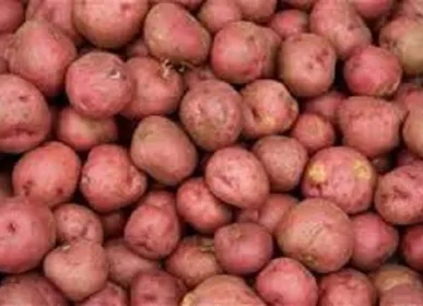 aalu