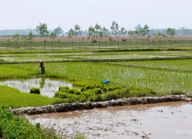 chaitra