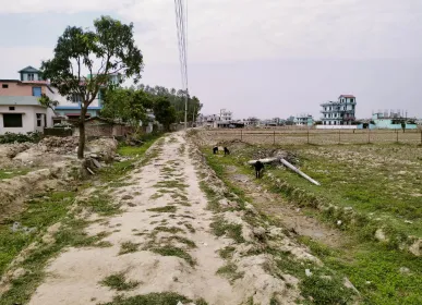 आफ्नै अभियानविपरीत धनगढी उपमहानगरले बनायो नाला मिचेर सडक