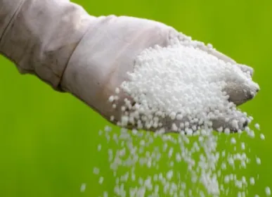 aa