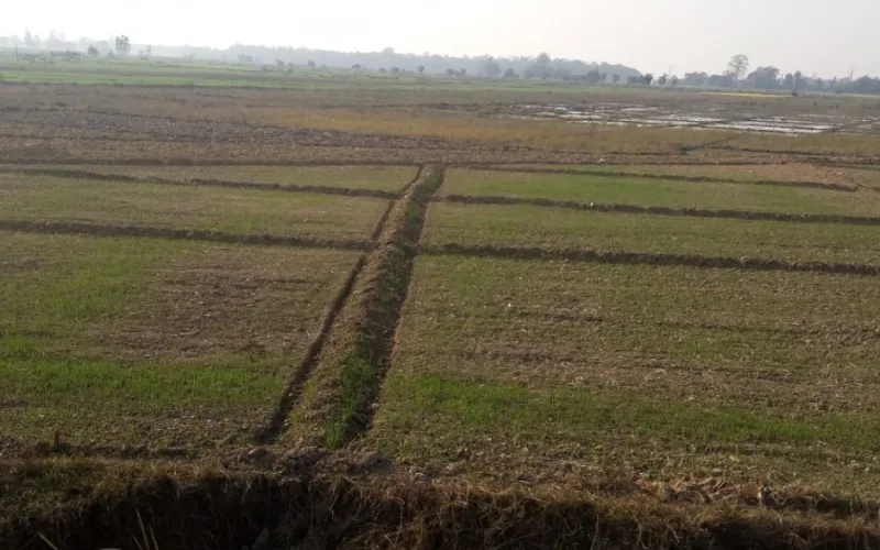 khet