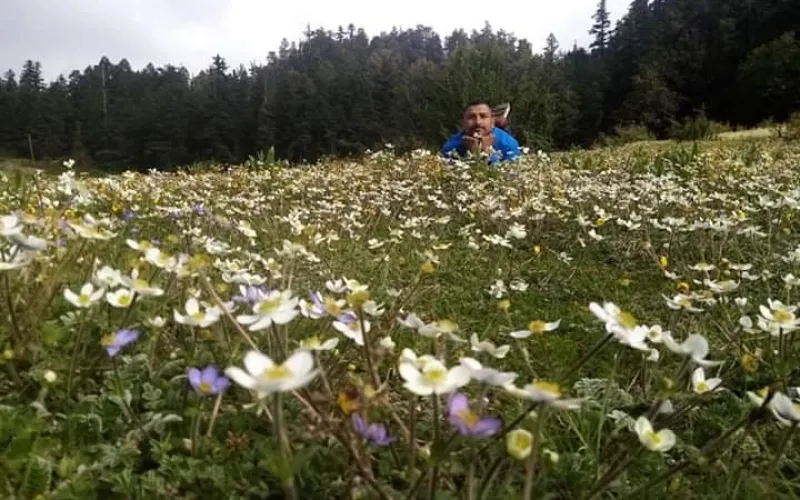 khaptad
