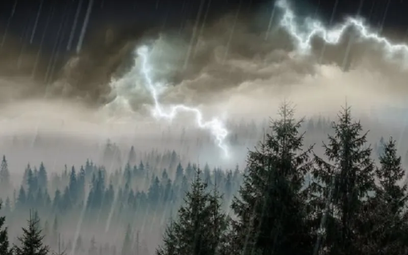 mausam