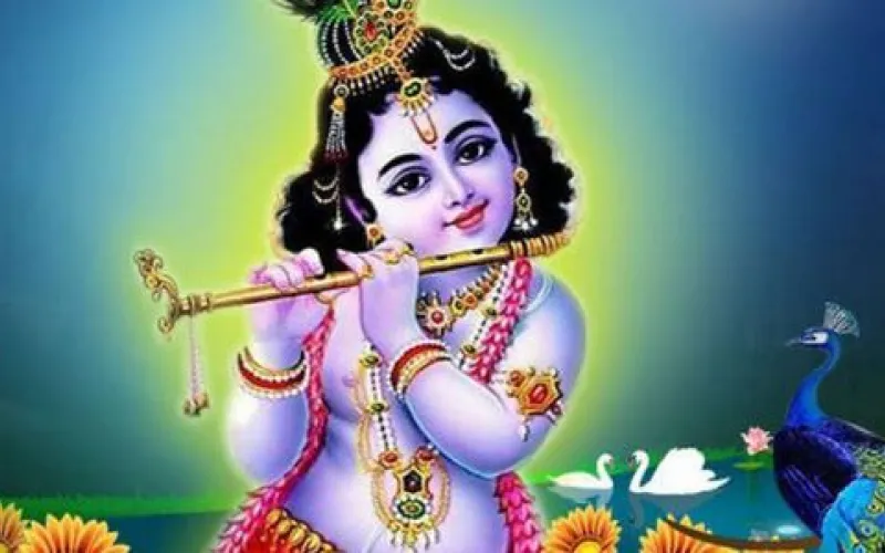 Krishna janmastami