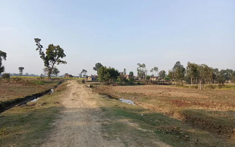 sadak