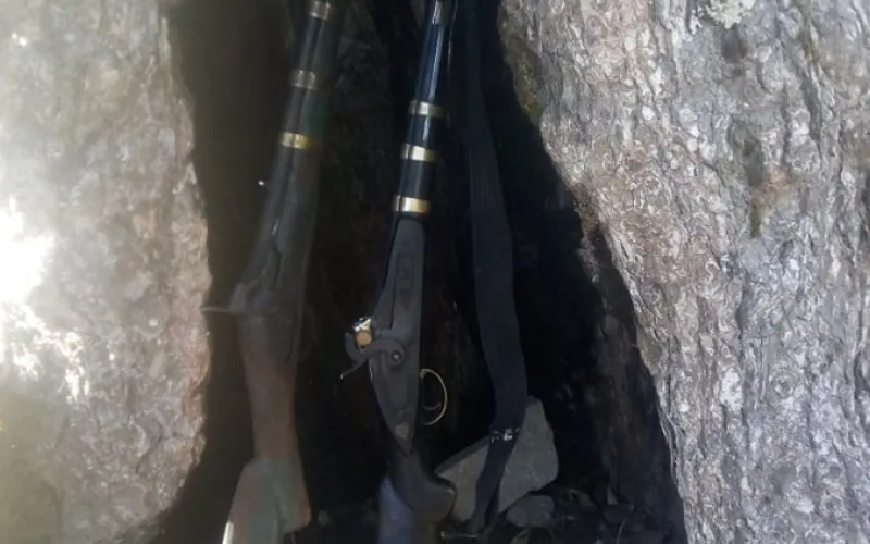 gun