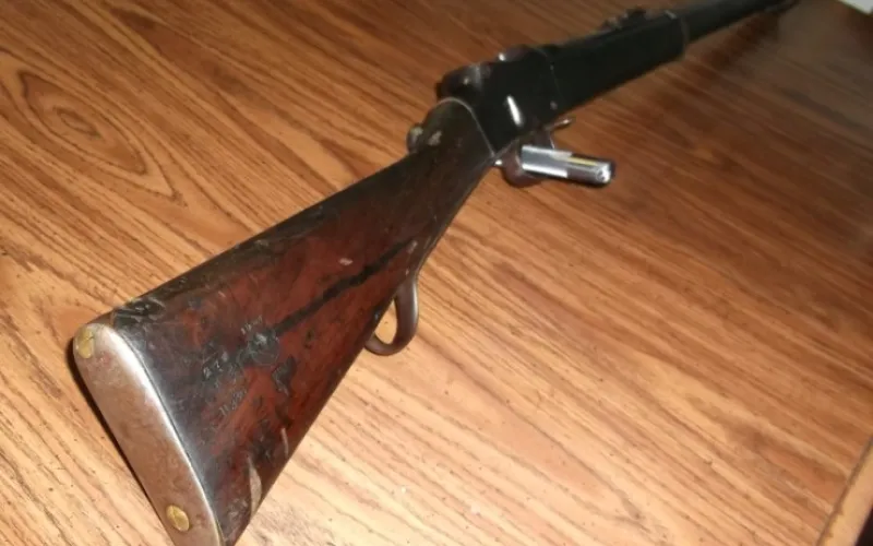 gun
