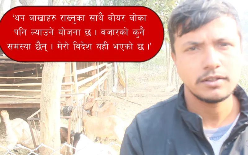bakra