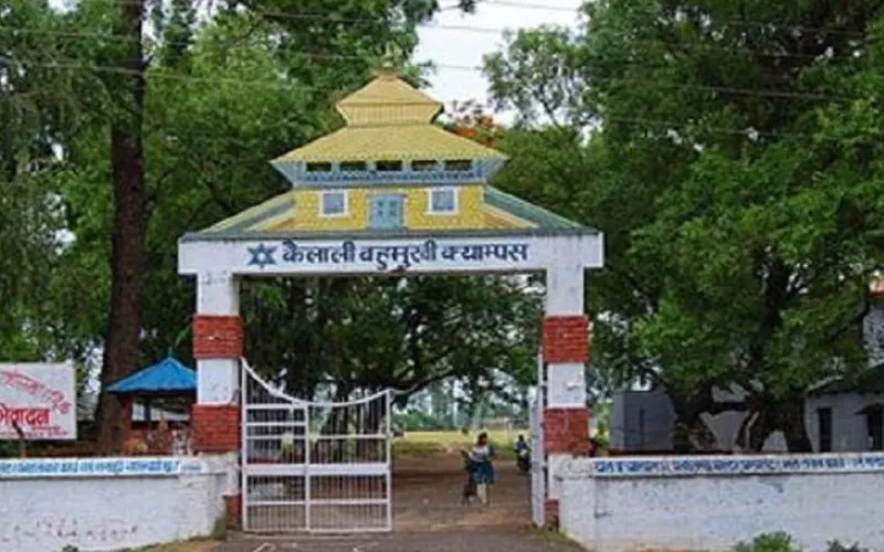 llb