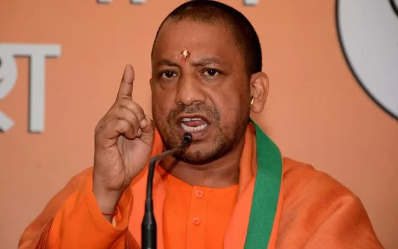 yogi