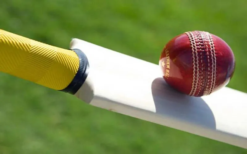 cricket