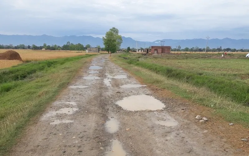 ss