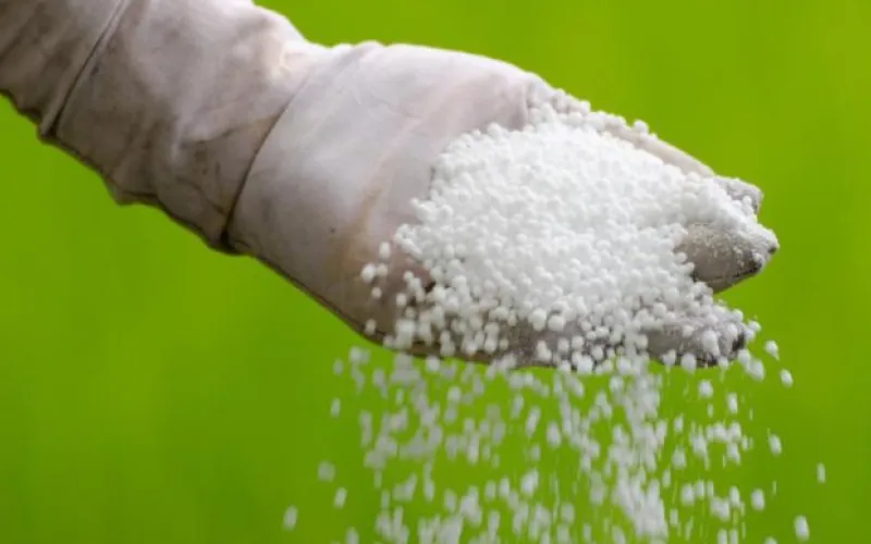 aa