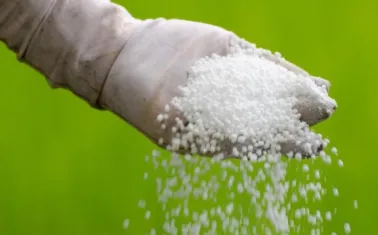 aa