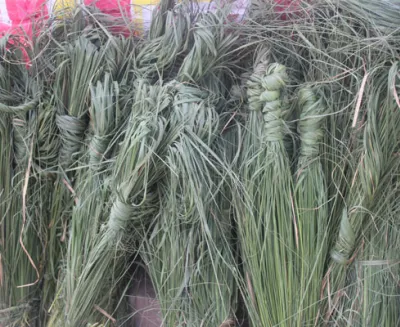kushe aausi
