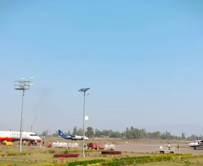 torisma