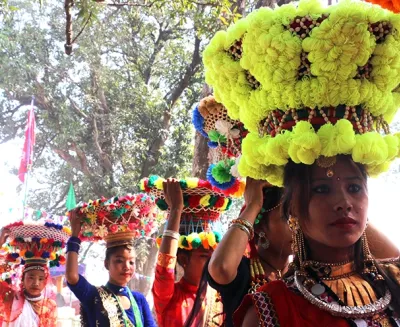 maghi