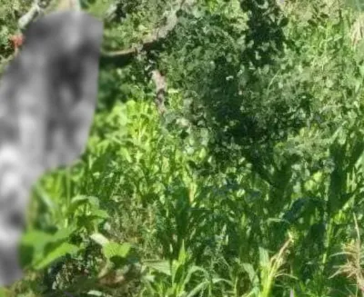 ss