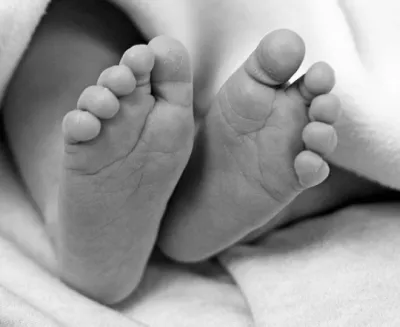 दार्चुलामा अरिंगालले चिल्दा बालकको मृत्यु