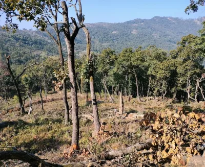 rajkada
